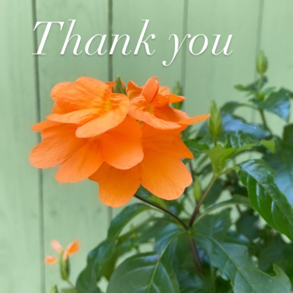 Meet the Posher, Brooklyn - Picture 6 of 16